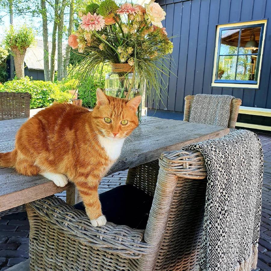 Op Stolk Bed & Breakfast Stolwijk 外观 照片